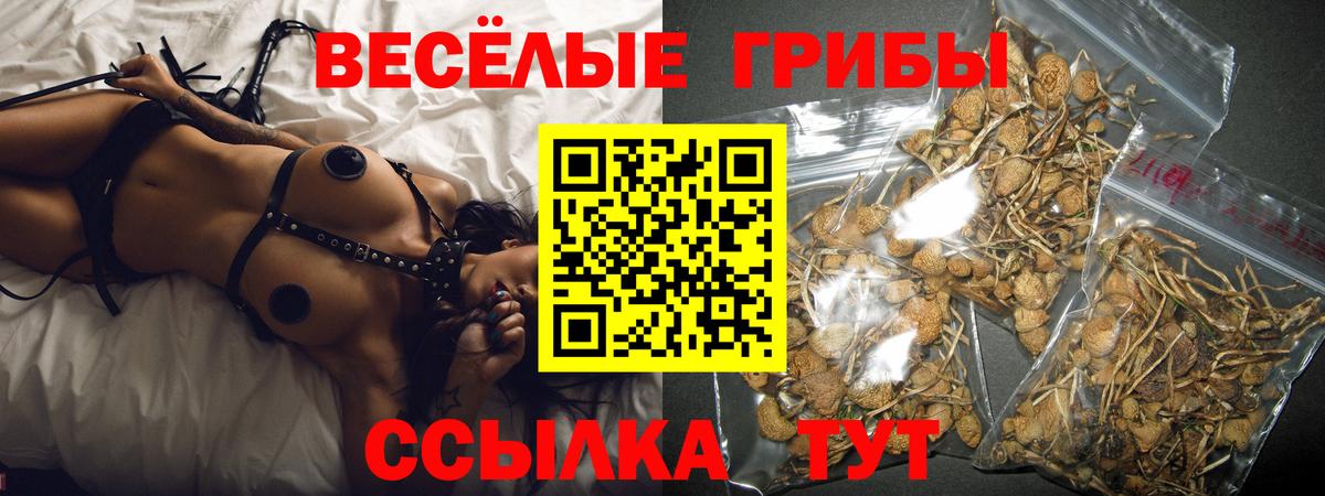 Галлюциногенные грибы Magic Shrooms  Псилоцибиновые грибы Magic Shrooms  наркота  Вход с VPN  Гусь-Хрустальный 