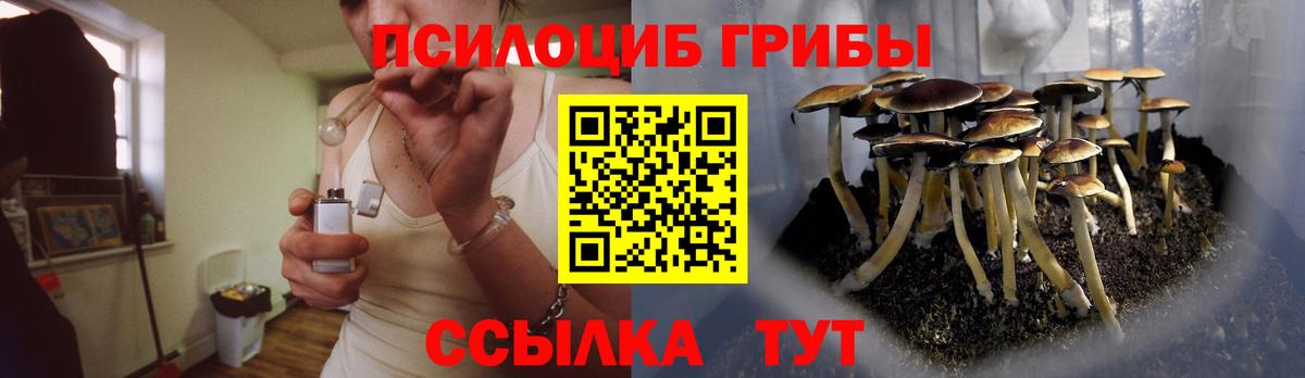 Галлюциногенные грибы мицелий Гусь-Хрустальный